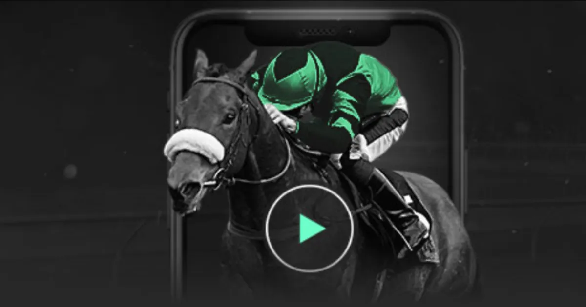 权威挑战者,堕落之主,争议漩涡,彩神网,彩票平台,在线购彩,彩票投注,高频彩票